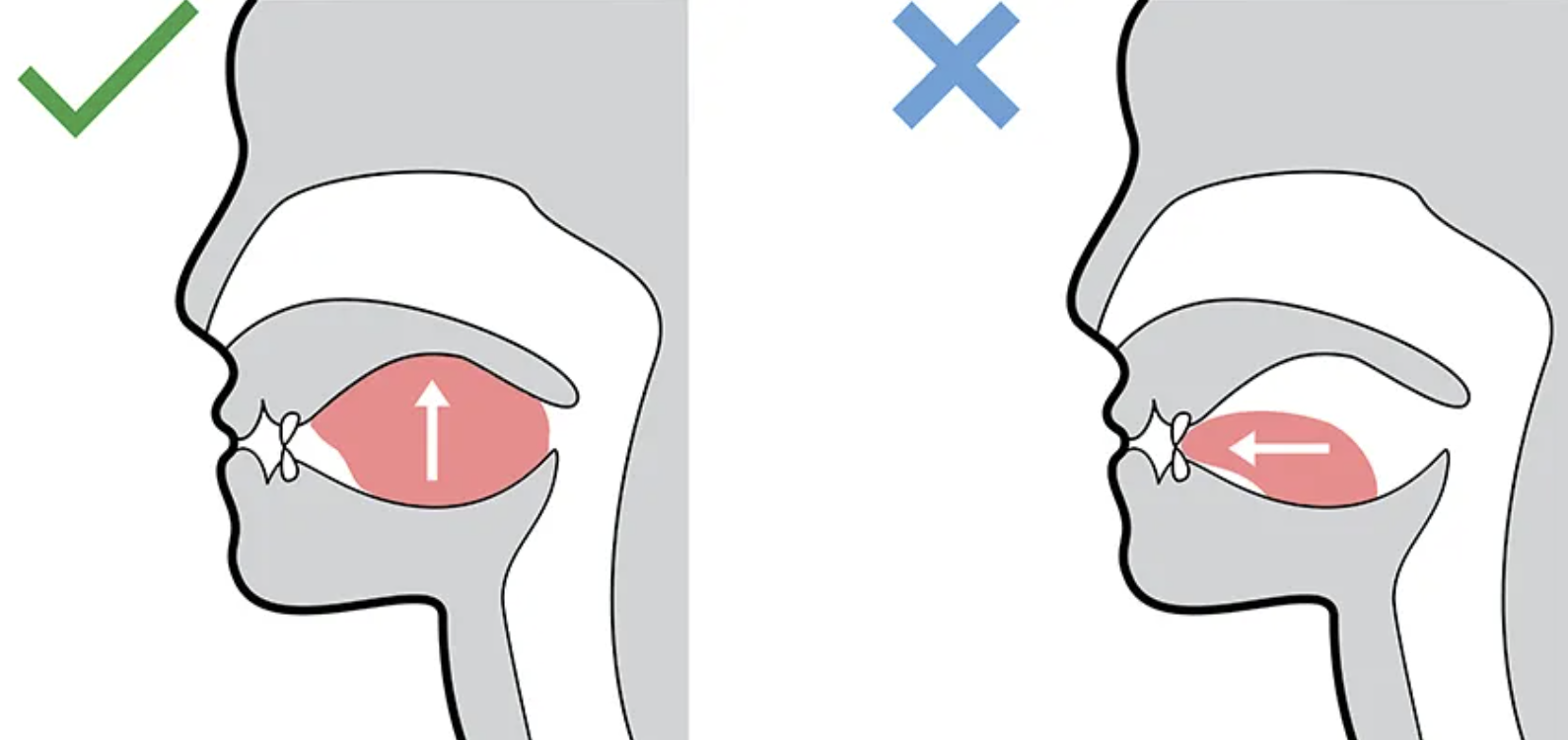 How to Swallow While Mewing: Proper Swallowing Technique